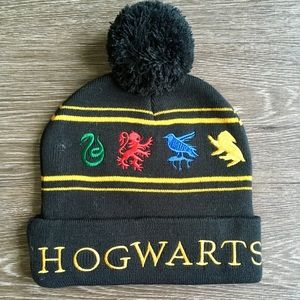 Harry Potter Hogwarts Houses Winter Hat